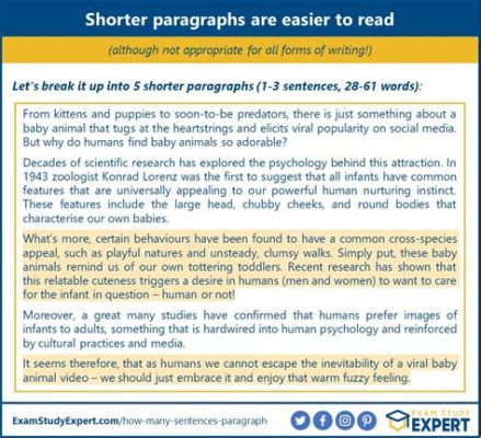 How Many Sentences Make Up an Essay: A Diverse Perspective